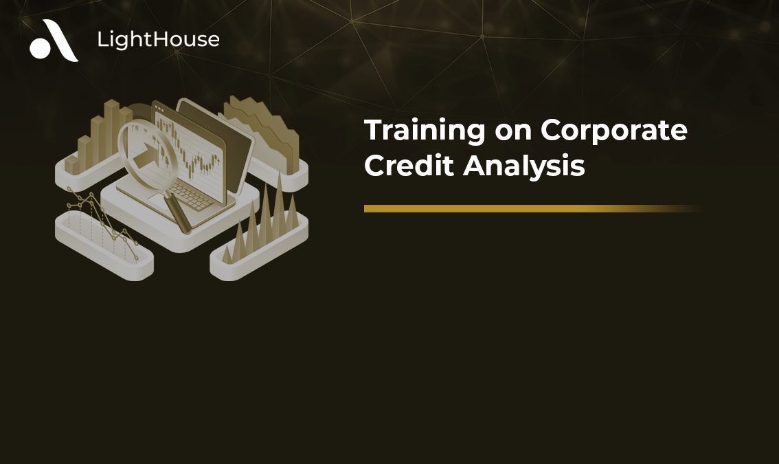 Training on Corporate Credit Analysis LH16